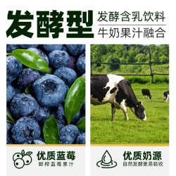 燕塘 蓝莓味酸牛奶饮品