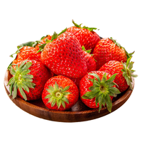 京觅丹东99红颜奶油草莓水果生鲜大果1斤装 单果25-35g 源头直发