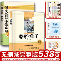 《骆驼祥子+钢铁是怎样炼成的》（全2册） 