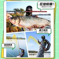 极轻小综合竿钓鱼竿超轻超硬鲫鱼竿野钓鲢鳙台钓竿十大名鱼竿
