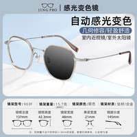 镜邦 近视眼镜商务大脸眼镜框男大黑框眉线眼镜框配变色眼镜Z 963银色 国际潮牌斐乐镜框 配1.60防蓝光变色镜片 默认灰色