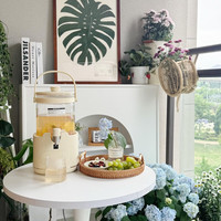 康宁 水龙头养生壶2.8L大容量养生花茶桶烧水壶