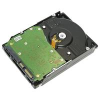 Western Digital 西部数据 金盘系列 3.5英寸 企业级硬盘 12TB（7200rpm、256MB）WD121VRYZ