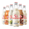  VAMINO/哇米诺 植物蛋白 儿童早餐奶  混合口味 6瓶 300