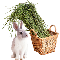 喜帅 烘干小麦草干草 毛重1kg 兔子荷兰猪龙猫豚鼠牧草粮食饲料草 烘干小麦草毛重1kg