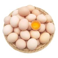 静益乐源 鲜鸡蛋 20枚