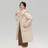 雪中飞 经典百搭秋冬时尚简约双重防风可脱卸连帽立领女式中长款羽绒服