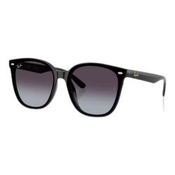 Ray-Ban RayBan）墨镜新年款0RB4423D