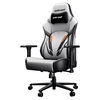 andaseaT/安德斯特 战神Pro 人体工学电脑椅 钛白