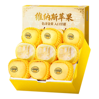 山姆大叔维纳斯苹果【多地次日达】黄金苹果脆甜应季现摘新鲜水果礼盒 【金冠·黄金甜】12A老树果王 | 单果80-90mm 5斤装【80%选择-超值】净4斤*