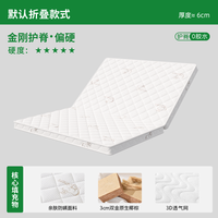 榻榻米床垫定做任意尺寸垫子可折叠订制椰棕乳胶儿童宿舍家用