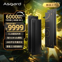 阿斯加特 192GB(48GBx4) DDR5 6000 台式机内存条 雷神索尔 马甲条 海力士M-die CL28