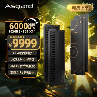 阿斯加特 192GB(48GBx4) DDR5 6000 台式机内存条 雷神索尔 马甲条 海力士M-die