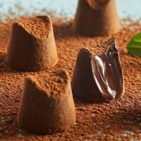 纯可可脂软松露55%可可-微甜*2盒