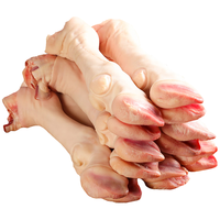 Luzhibang/绿之邦 新鲜羔羊肉 羊蹄 2.4斤