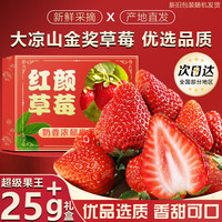 鲁道鲜 大凉山草莓 JD配送 多地草莓新鲜次日达 新鲜水果 整箱2斤精选礼盒单果12g+净1.2斤