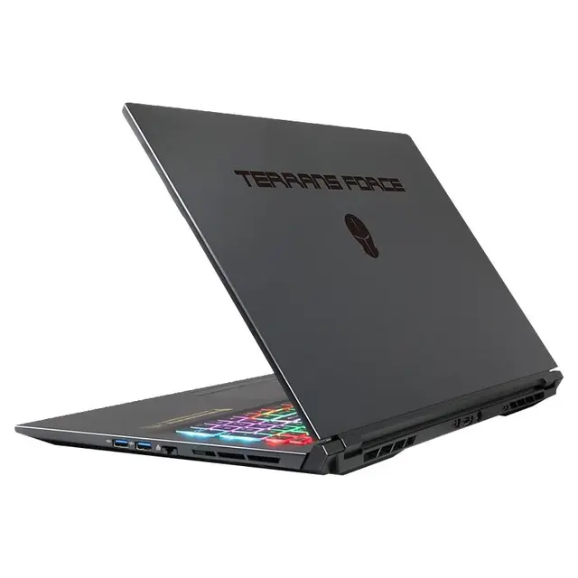 TERRANS FORCE 未来人类 T7 17.3英寸 游戏本 黑色（酷睿i7-10870H、RTX 3080 Max-Q 16G、32GB、1TB SSD、1080P、LCD、300Hz）