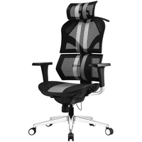 Want Home 享耀家 X5 人体工学电脑椅 黑白