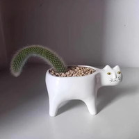 夏洛特植物猴尾柱仙人柱猴尾巴九尾狐盆栽猫咪花盆室内桌面绿植卡通猫植物 白猫+猴尾+土