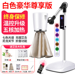 鸿益德 艾灸仪器一体机无烟新款家用热敷理疗仪灯美容院专用艾灸仪