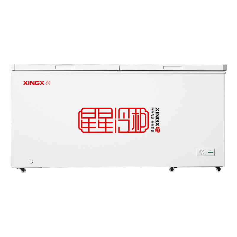  XINGX/星星 冷藏冷冻转换 商用冰柜  500L