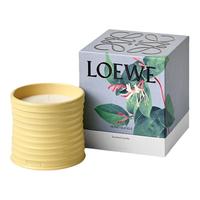 LOEWE 罗意威 金银花香氛蜡烛