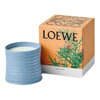 LOEWE罗意威柏树球香氛香薰蜡烛 植物居家