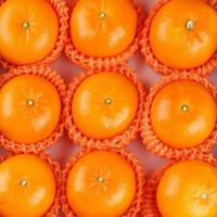 果迎鲜 广西沃柑5斤装净重4.5 （大果60-65mm）