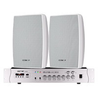 先科（SAST）AV298 壁挂式音响套装音箱喇叭功放机商用工程会议家用培训公共广播背景音乐P80一拖二 黑