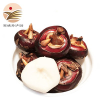 静益乐源 广西马蹄果 荸荠地梨 5斤装