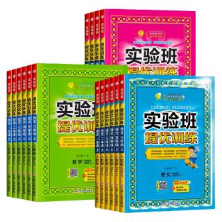 《实验班提优训练》（年级、科目任选）