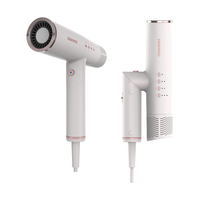 DAEWOO 大宇 HD01 电吹风 月桃白