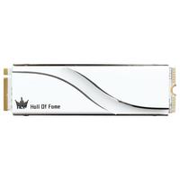 影驰 GALAX HOF EXTREME NVMe M.2 固态硬盘 2TB(PCI-E4.0)