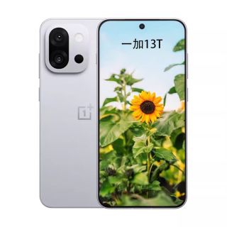 百亿补贴：一加 13T新款手机小屏大魔王5G全网通学生电竞游戏手机