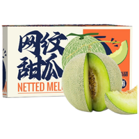 京觅 网纹蜜瓜 单果1kg+ 5-6粒 5kg
