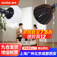 神牛 SL150III三代直播补光灯摄影打光影棚球形柔光灯罩 双灯套装-柔光球/P90深抛 官方标配