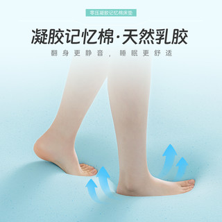 床垫家用卧室软垫乳胶记忆棉垫宿舍单人床褥海绵垫子租房
