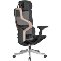 ENOVA自由家 人体工学椅电脑椅办公椅子人工力学座椅家用电竞椅学习椅 香槟金-联动-6D电竞臂+铝合金脚