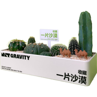 京东绿植一片沙漠仙人掌组合办公桌面室内懒人趣味绿植礼盒包装源头直发