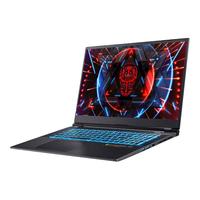 TERRANS FORCE 未来人类 T7 2021款 11代酷睿版 17.3英寸 游戏本 黑色(酷睿i7-11800H、RTX 3080 16G、32GB、1TB SSD、1080P、300Hz)