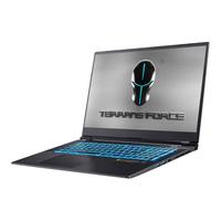 TERRANS FORCE 未来人类 T7 2021款 11代酷睿版 17.3英寸 游戏本 黑色(酷睿i7-11800H、RTX 3070、32GB、1TB SSD、1080P、300Hz)