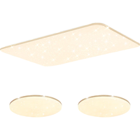 Lighting 雷士 NVC 满天星系列 客厅吸顶灯+圆卧灯*2 全屋智控款