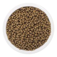 PURELOVE 味臻纯 食材探索系列 鸡肉三文鱼幼猫奶糕 500g