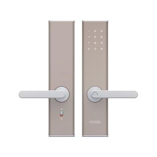 Lockin 鹿客 DSL-C05 智能指纹密码锁 月岩银