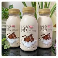 Bright 光明 巧克努力 巧克力牛乳饮品 250ml*8瓶
