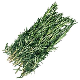 新鲜迷迭香250g 可食用香料西餐煎牛排烧烤烘焙调料摆盘装饰
