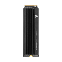 USCORSAIR 美商海盗船 MP600 PRO LPX NVMe M.2 固态硬盘 1TB (PCI-E4.0)