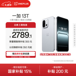 一加 13T 5G手机 12GB+256GB 晨雾灰 骁龙8至尊版