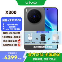 vivo X300 5G 手机 纯粹黑 12GB 256GB