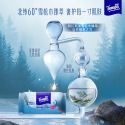 得宝 雪松木臻萃卫生清凉杀菌便携擦汗湿巾8片6包/12包/18包任选a